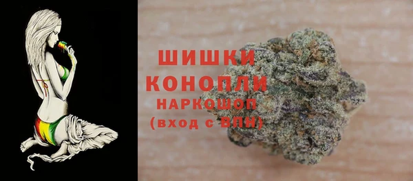 молекула духа Киреевск
