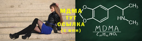 гашик Алексин