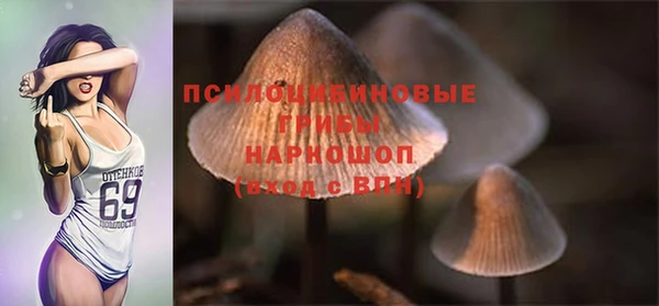 эйфоретик Алзамай